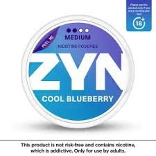 Zyn Cool Blueberry 6mg